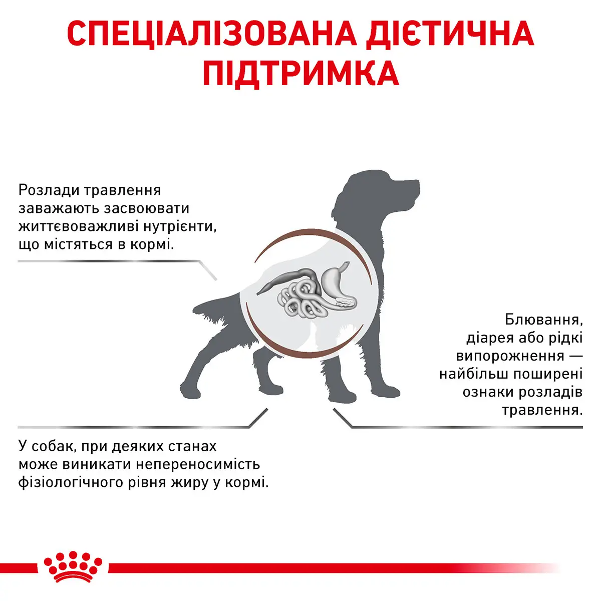 ROYAL CANIN Gastro Intestinal Low Fat Dog Сухий корм для дорослих собак3