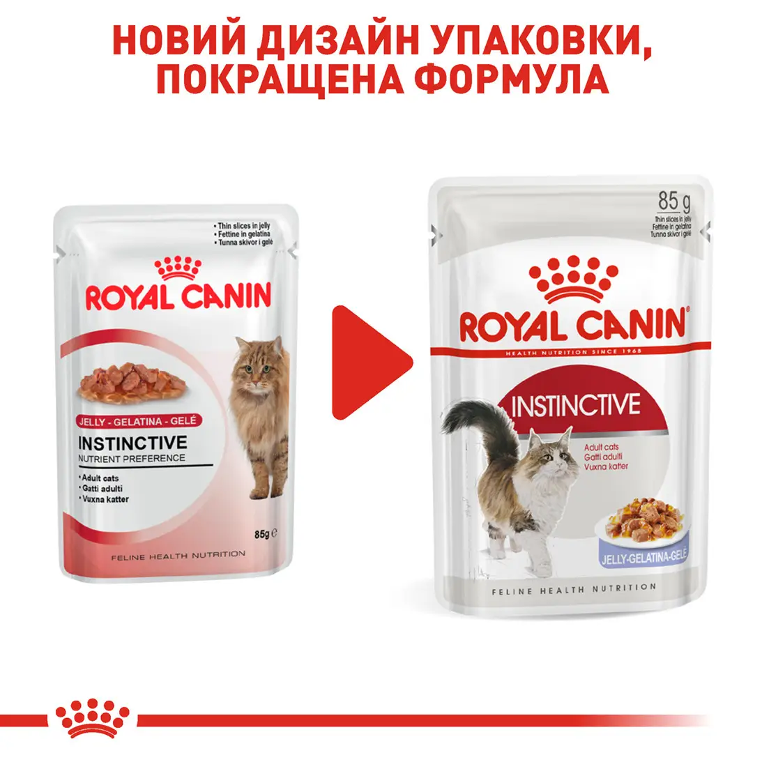 ROYAL CANIN Instinctive Jelly Вологий корм для дорослих котів7