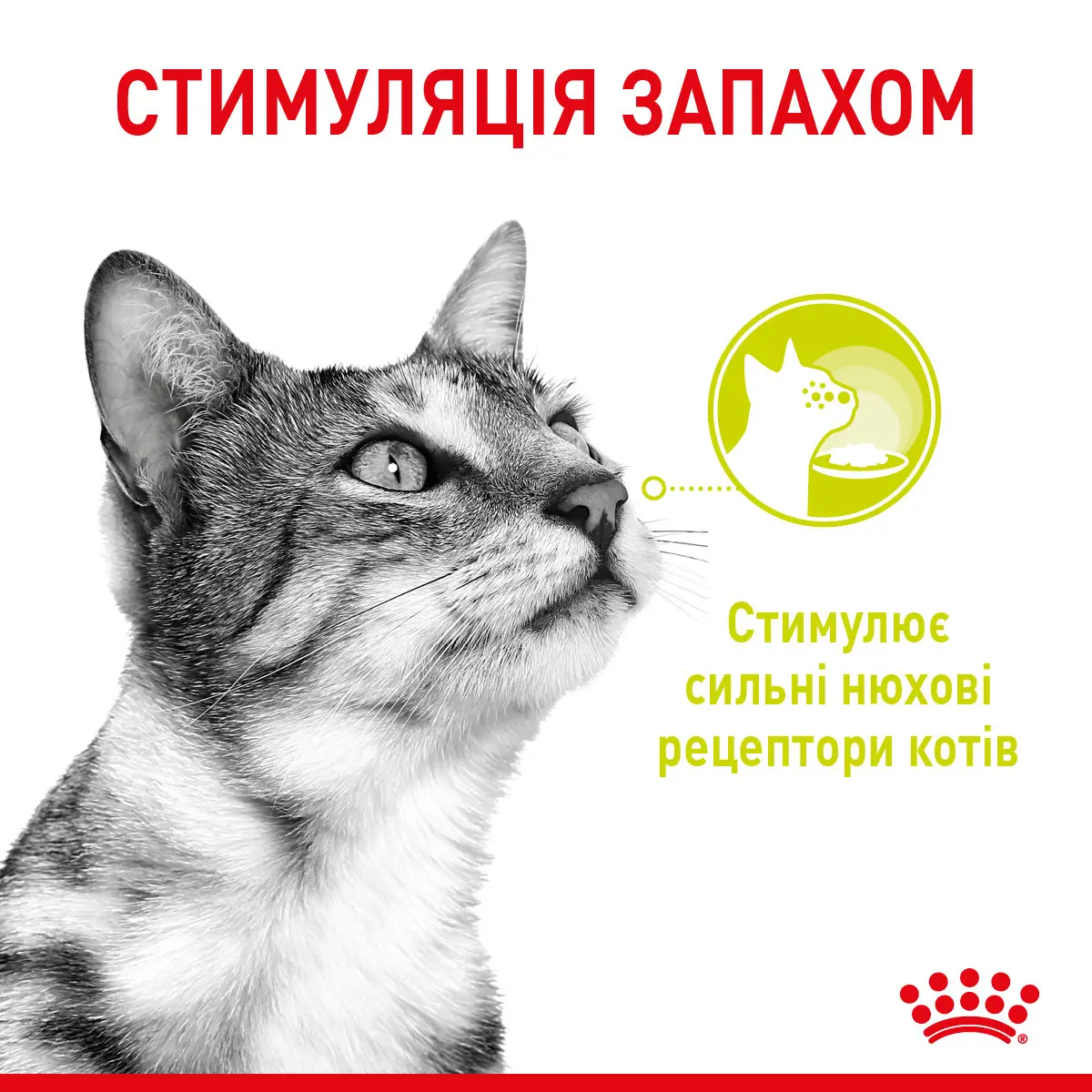 ROYAL CANIN Sensory Multipack Gravy Вологий корм для дорослих котів1