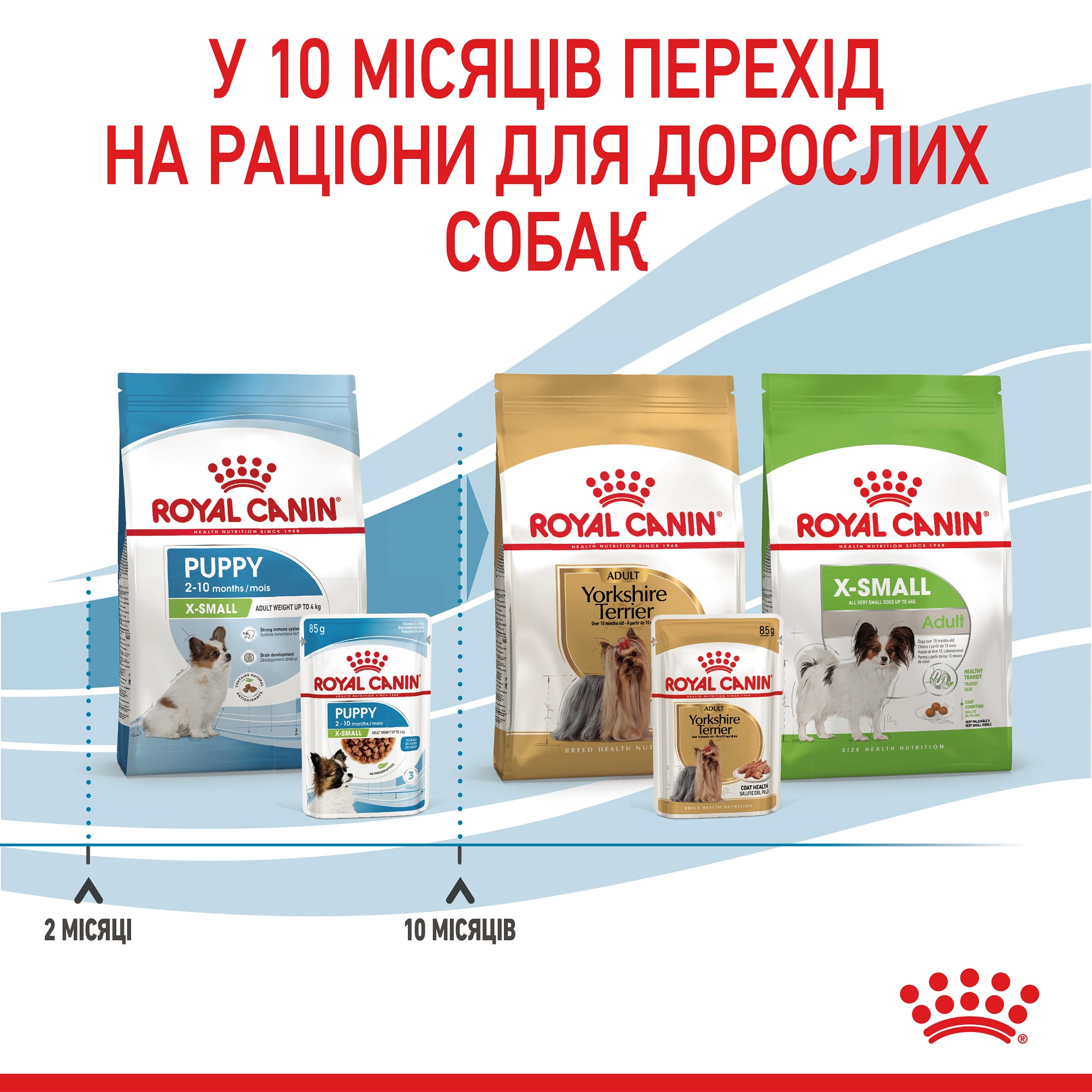 ROYAL CANIN X-Small Puppy Вологий корм для цуценят мініатюрних порід7