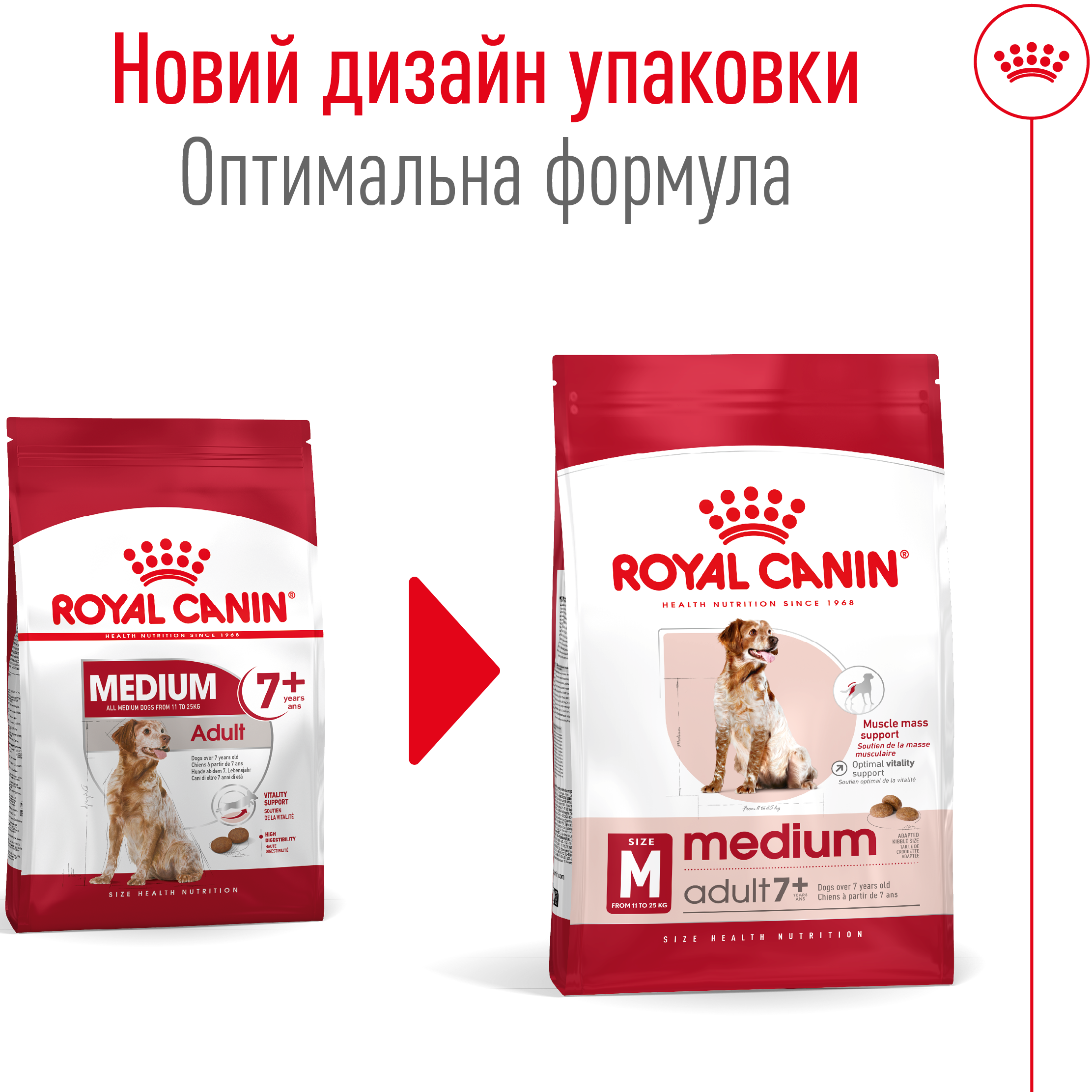 ROYAL CANIN Medium Adult 7 + Сухий корм для собак середніх порід старше 7 років4