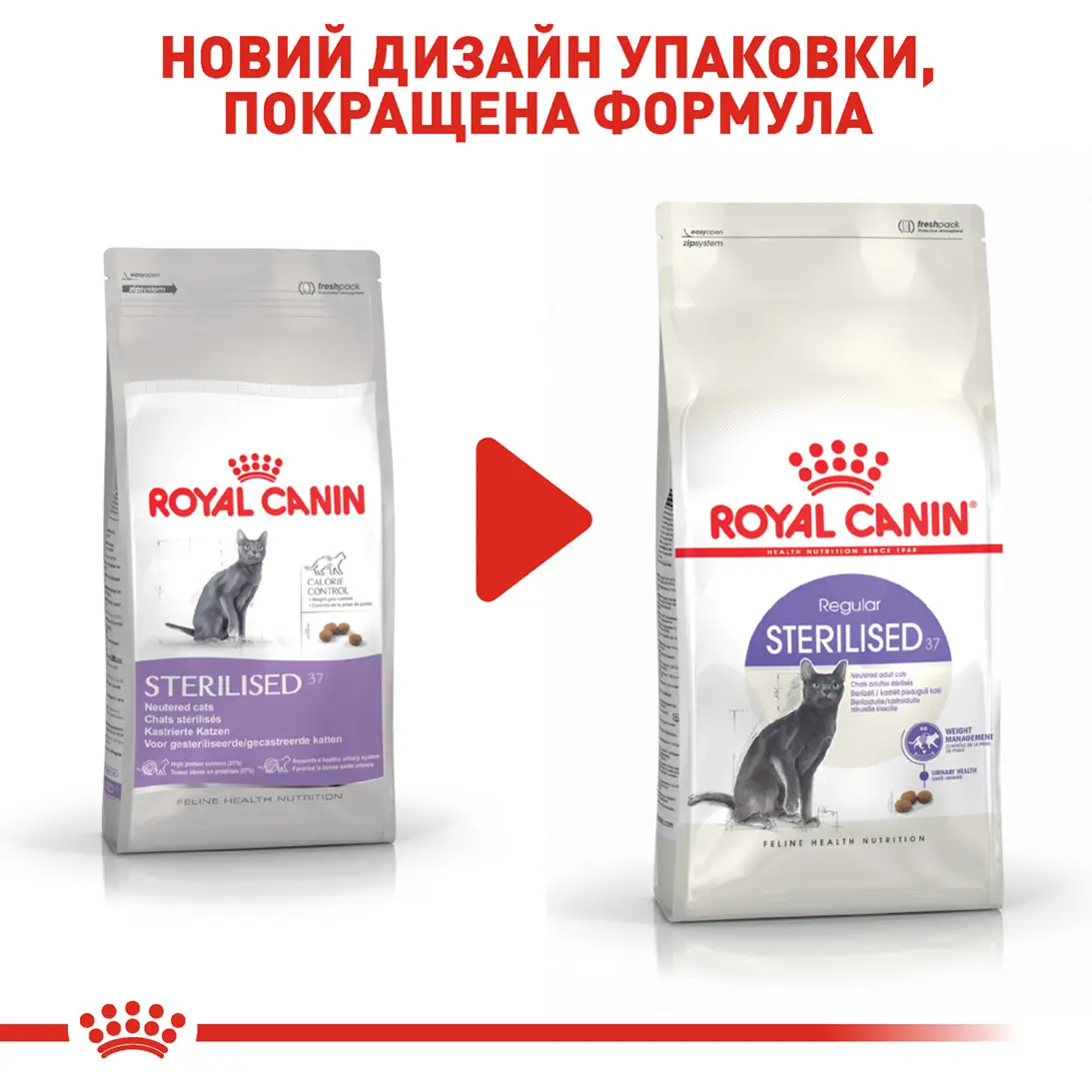 ROYAL CANIN Sterilised Сухий корм для дорослих стерилізованих котів8