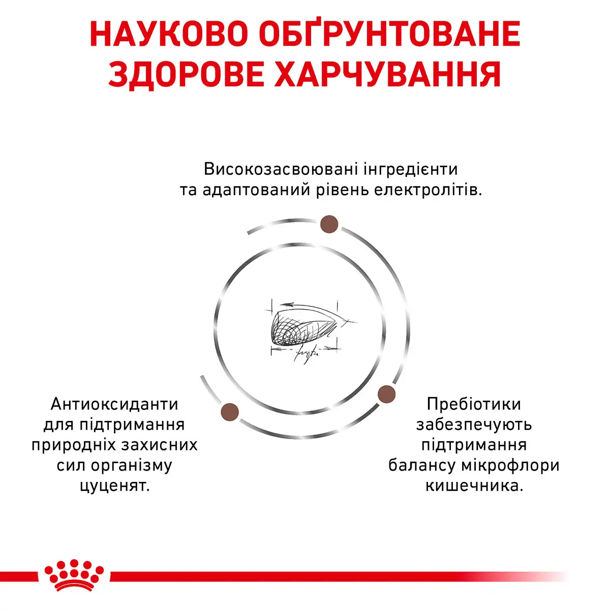 ROYAL CANIN Gastrointestinal Puppy Сухий корм для цуценят3