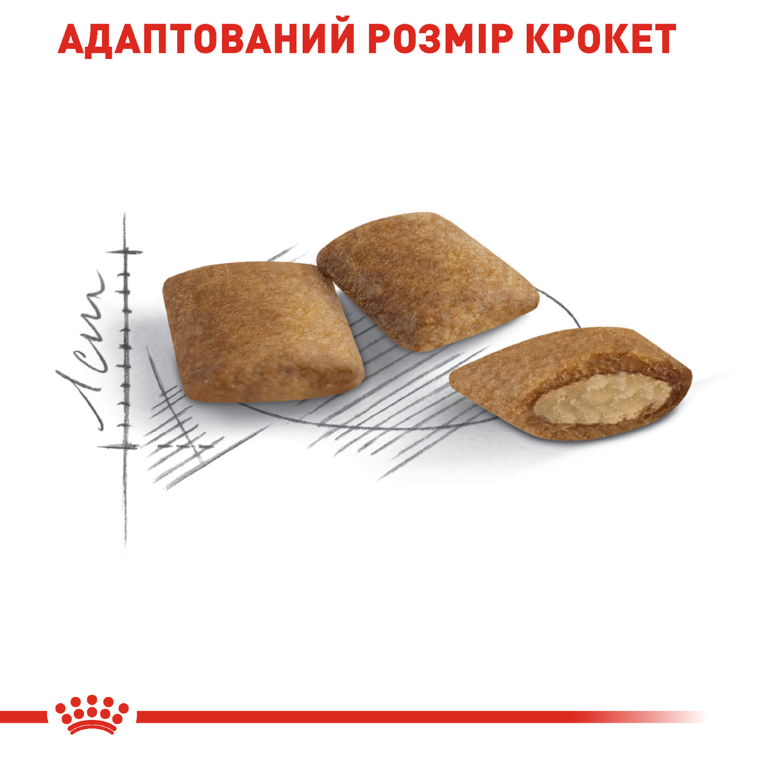 ROYAL CANIN Ageing 12+ Сухий корм для зрілих домашніх котів2