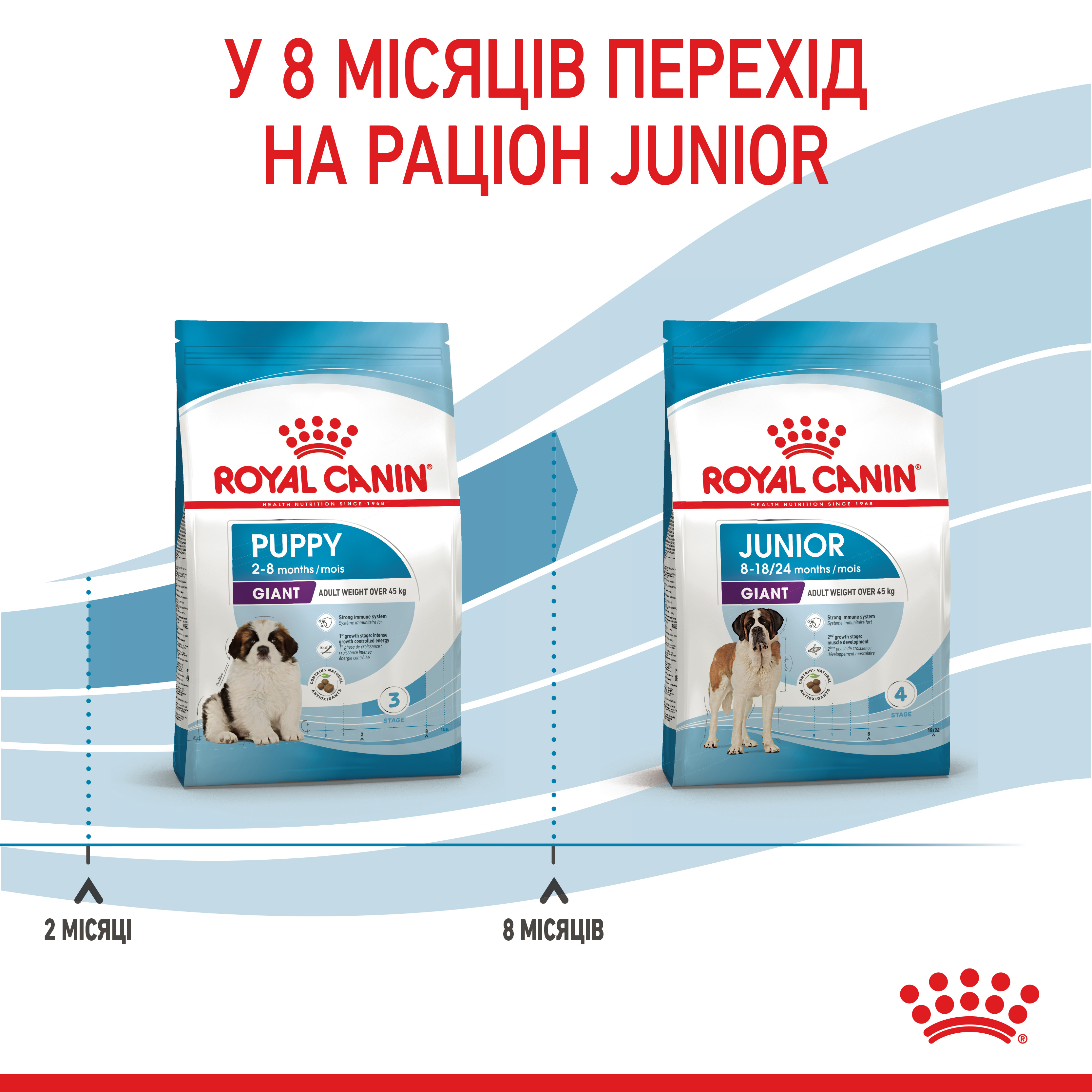 ROYAL CANIN Giant Puppy Сухий корм для цуценят гігантських порід до 8 місяців8