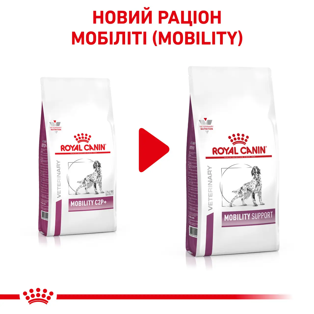 ROYAL CANIN Mobility Support Dog Сухой корм для взрослых собак5