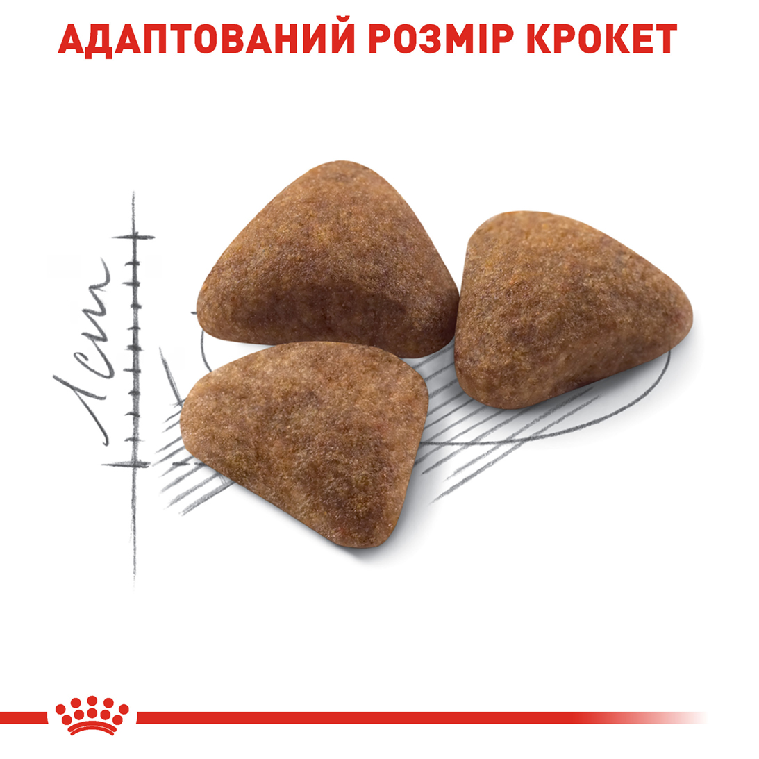 ROYAL CANIN Indoor Сухой корм для домашних котов4