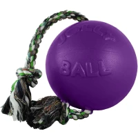 JOLLY PETS Romp-n-Roll Purple Іграшка для собак М'яч з канатом